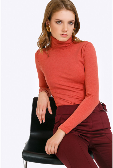 Водолазка Emka Fashion B2285-elita