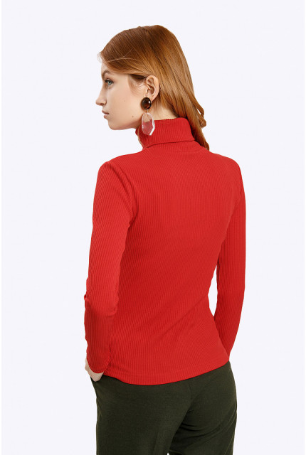 Водолазка Emka Fashion B2285-alikante