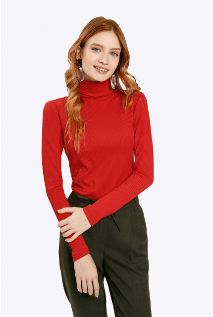 Водолазка Emka Fashion B2285-alikante