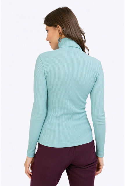 Водолазка Emka Fashion B2285-tunika