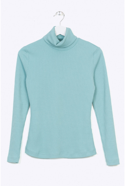 Водолазка Emka Fashion B2285-tunika