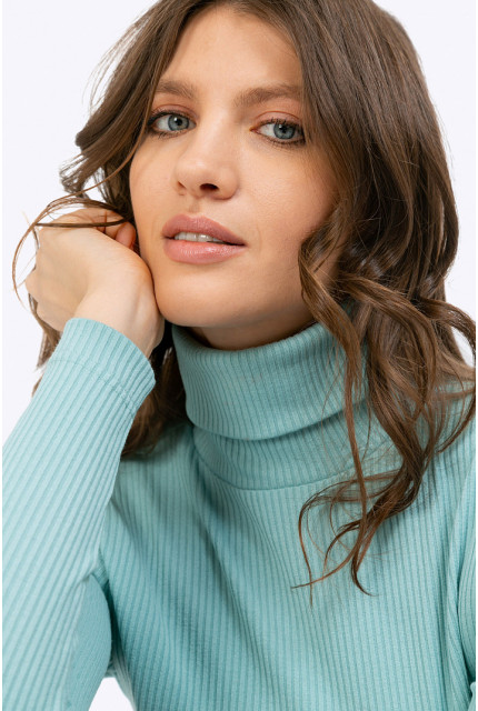 Водолазка Emka Fashion B2285-tunika