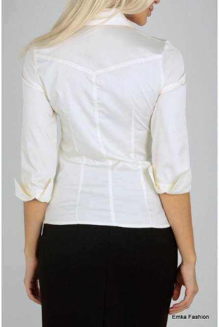 Блуза Emka Fashion B0172-4688