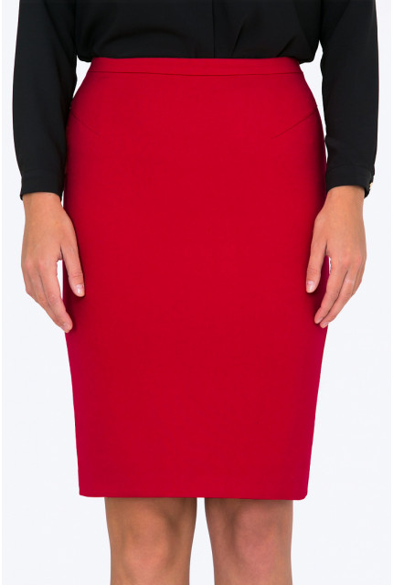 Юбка Emka Fashion S667-rostislava