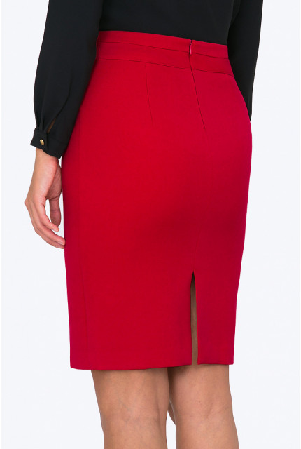 Юбка Emka Fashion S667-rostislava