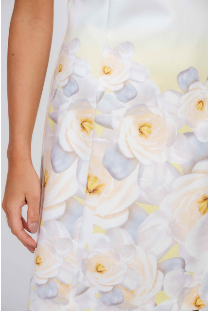 Платье Emka Fashion PL-495-longa