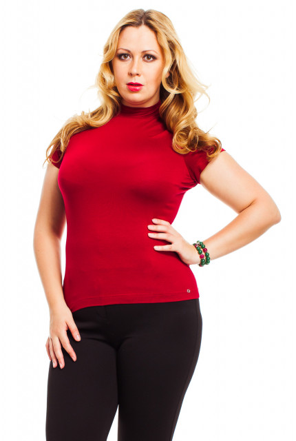 Водолазка Mondigo 21037-41