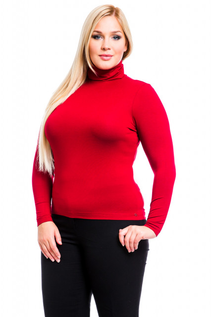 Водолазка Mondigo 21046-41