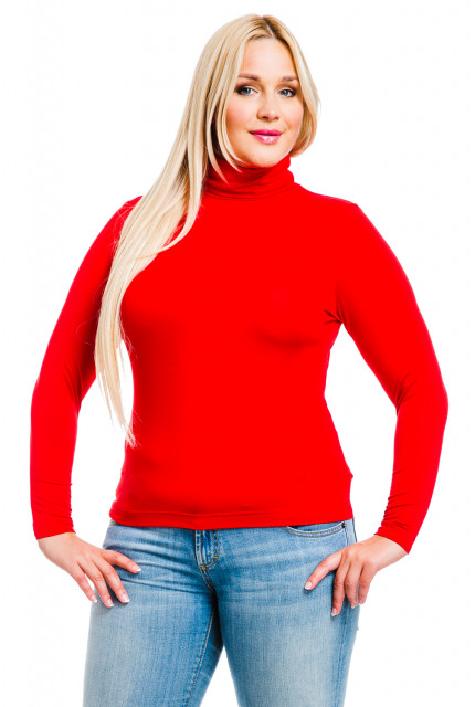 Водолазка Mondigo 21046-43