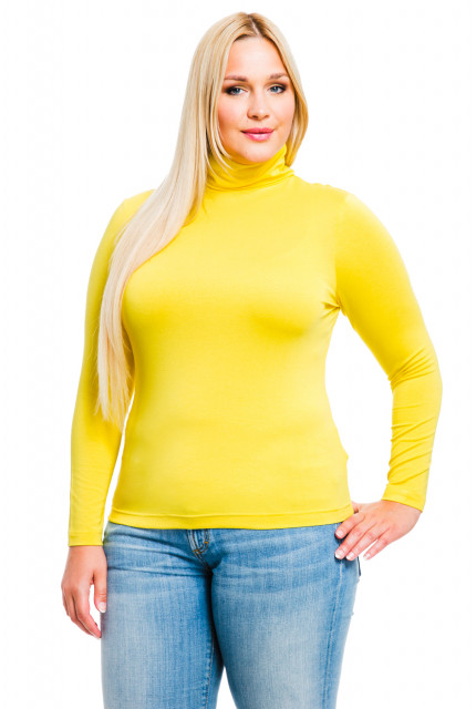 Водолазка Mondigo 21046-81