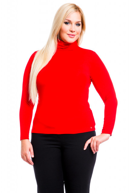 Водолазка Mondigo 21204-43