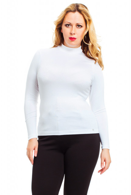 Водолазка Mondigo 23036-01