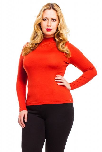 Водолазка Mondigo 23036-56