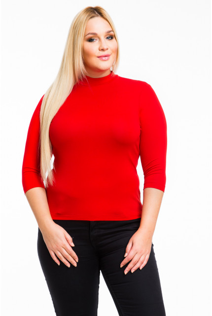 Водолазка Mondigo 27010-43