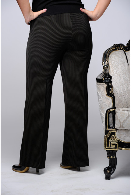 Брюки TTCollection 570-52